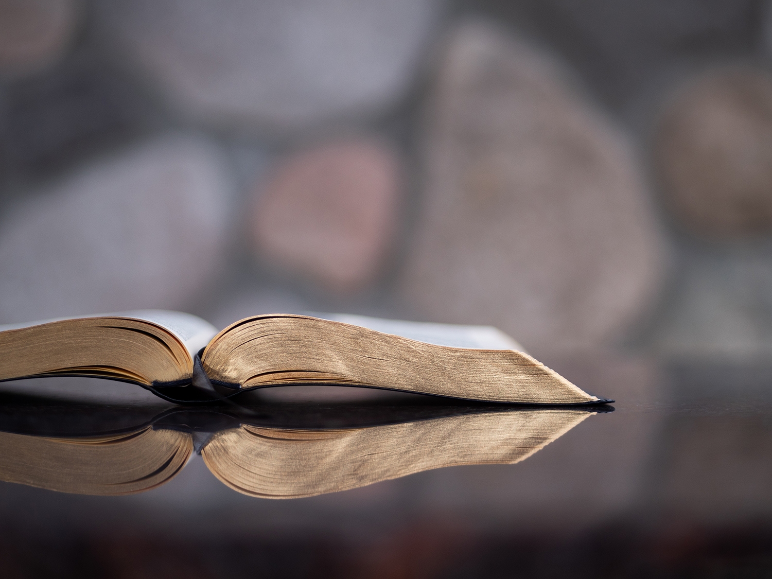 Squashing “Biblical Authority”