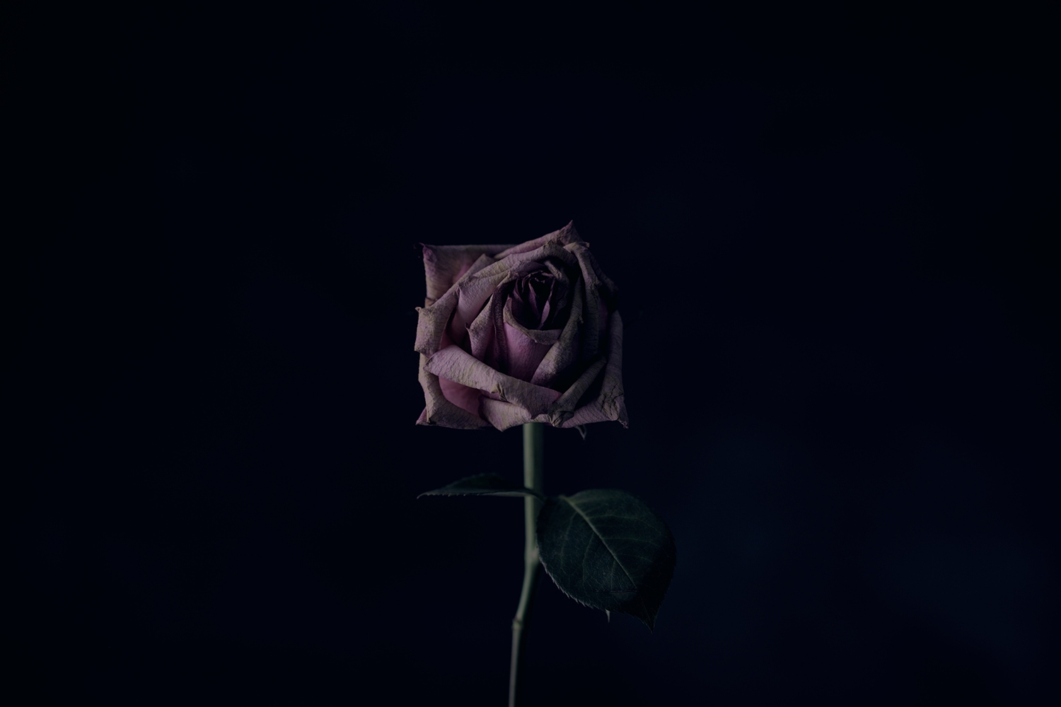 When God Is Unfaithful: Reclaiming a Theology of Lament