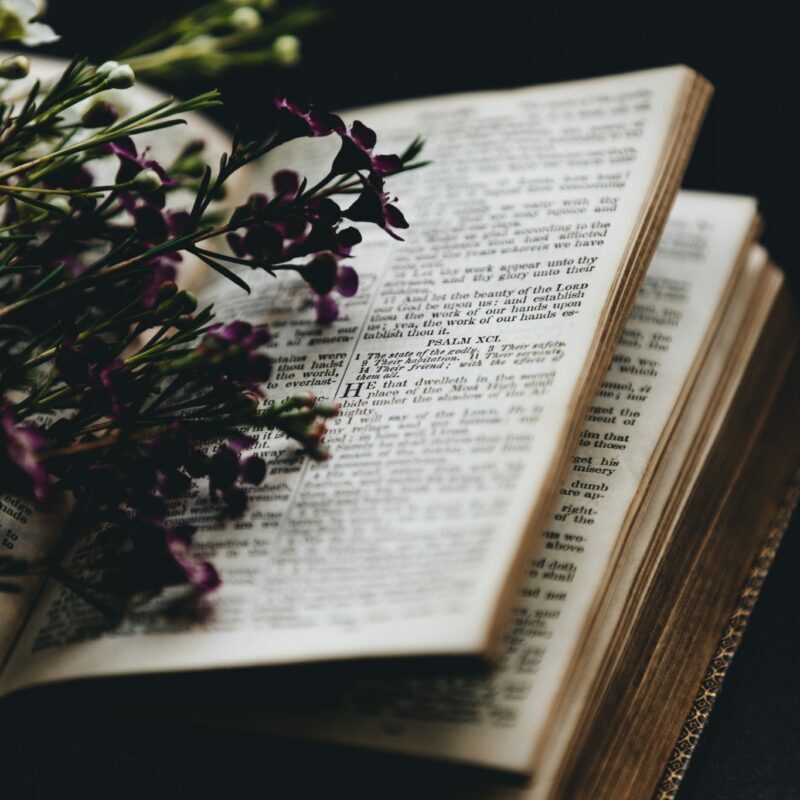 irreverent bible