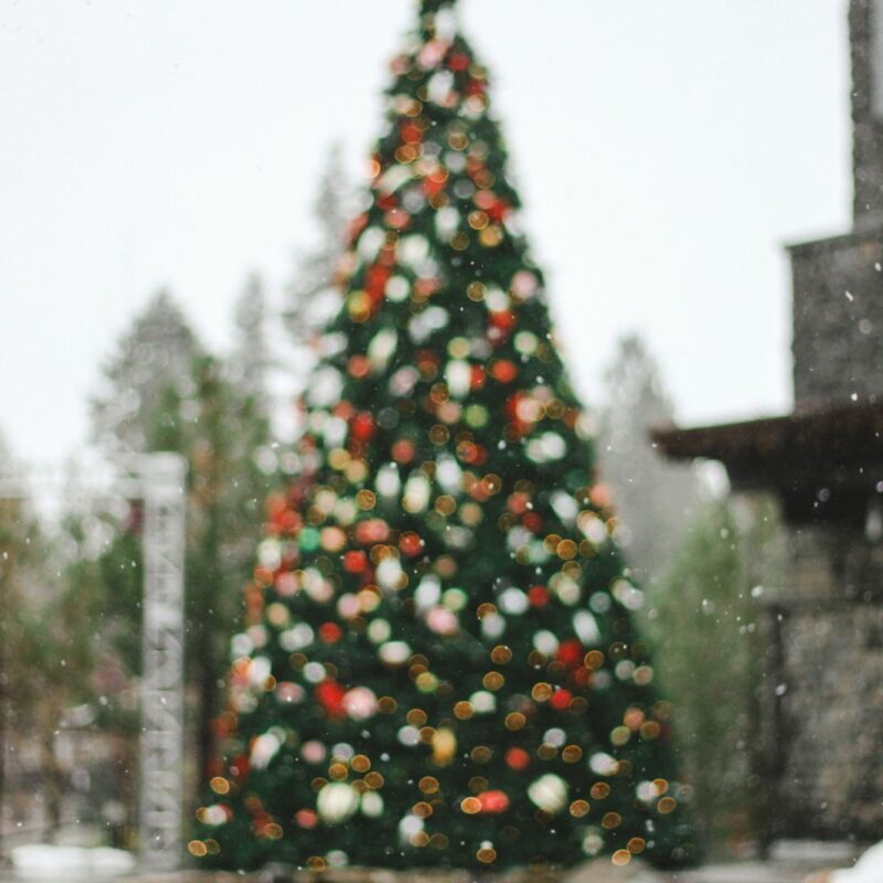 A Christmas Resolution Jesus