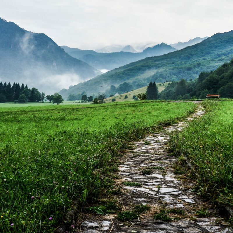 path of wisdom
