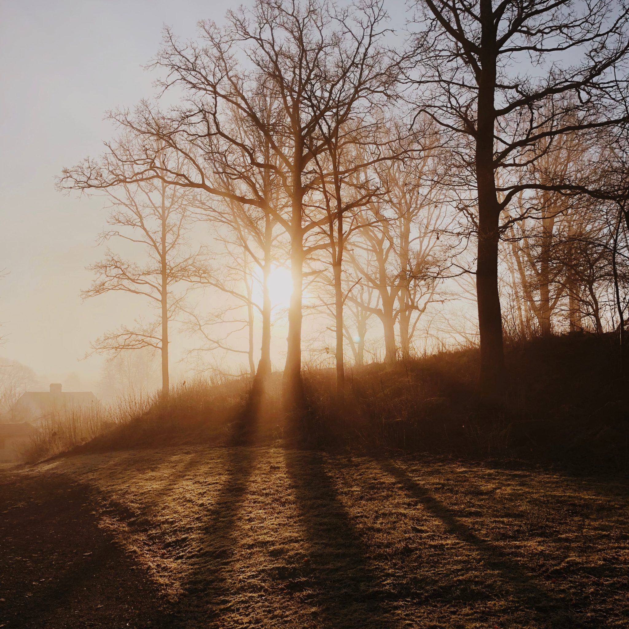 Year of the Bible: What is the Word of God?
