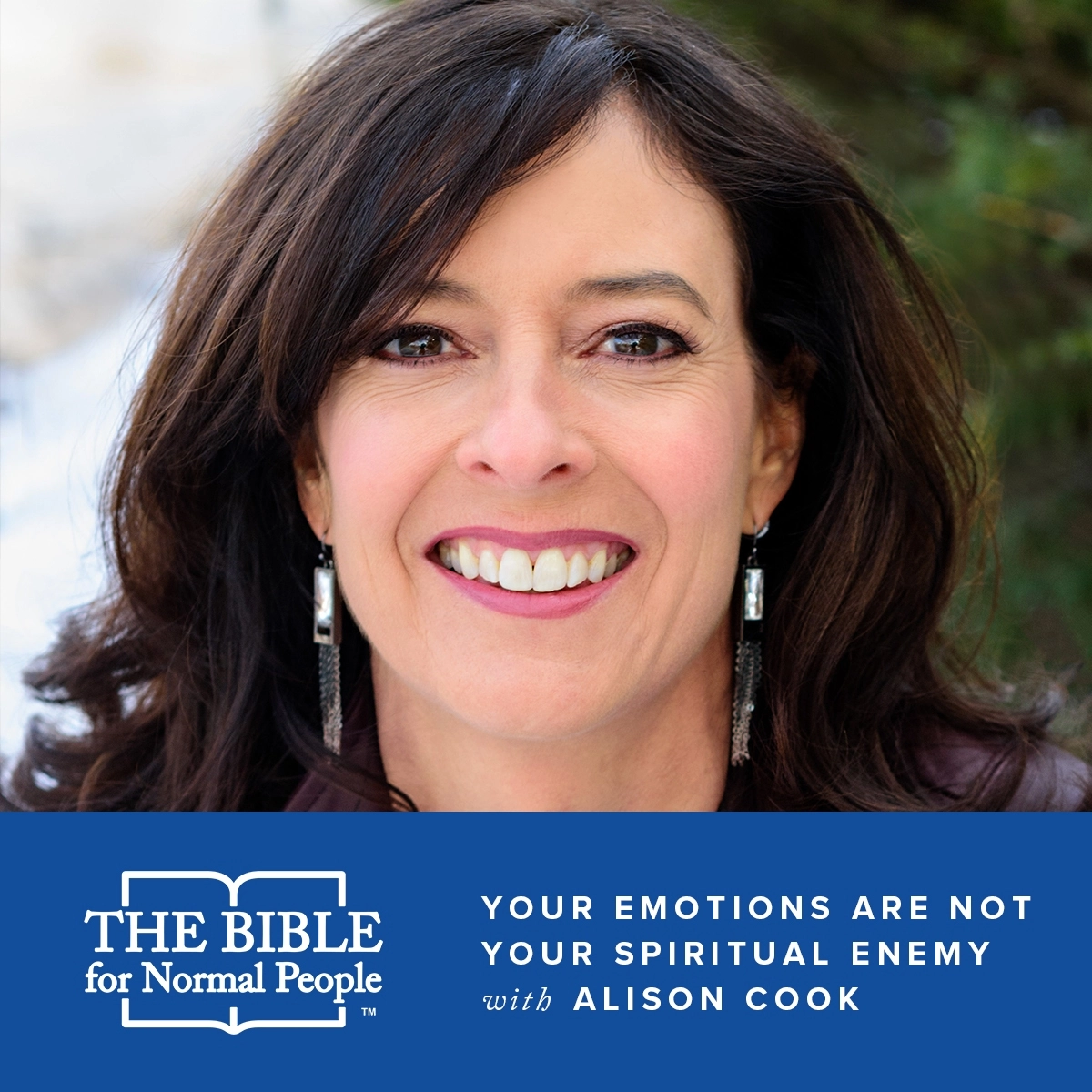 Episode 115: Alison Cook – Your Emotions Are Not Your Spiritual Enemy