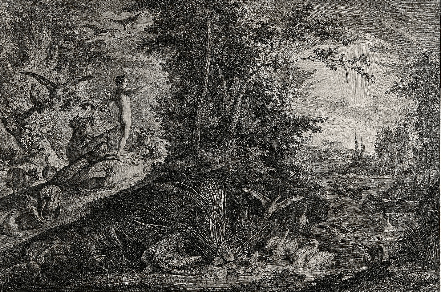 A Missing Angle on the Evangelical Struggle with Evolution