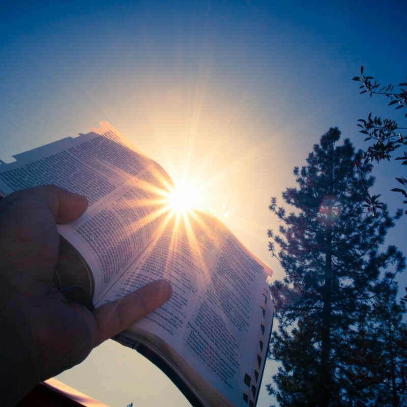 reading the bible
