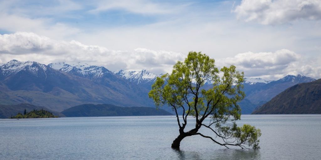 Progressive No More: Brief Thoughts on Adaptive Christianity