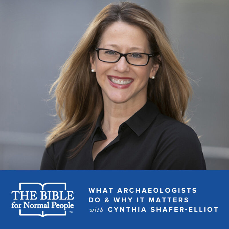 What Archaeologists Do & Why It Matters with Cynthia Shafer-Elliot