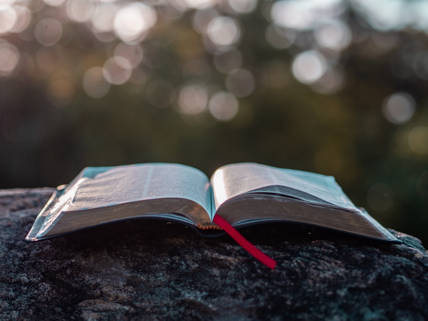 The Bible, Wisdom, and Our Sacred Responsibility