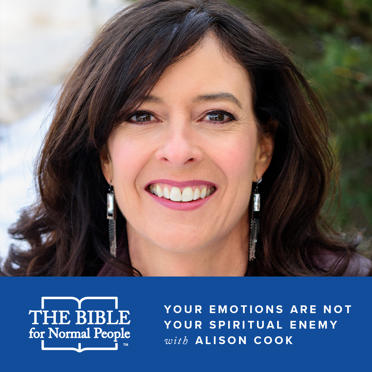 Alison Cook- Your Emotions Are Not Your Spiritual Enemy