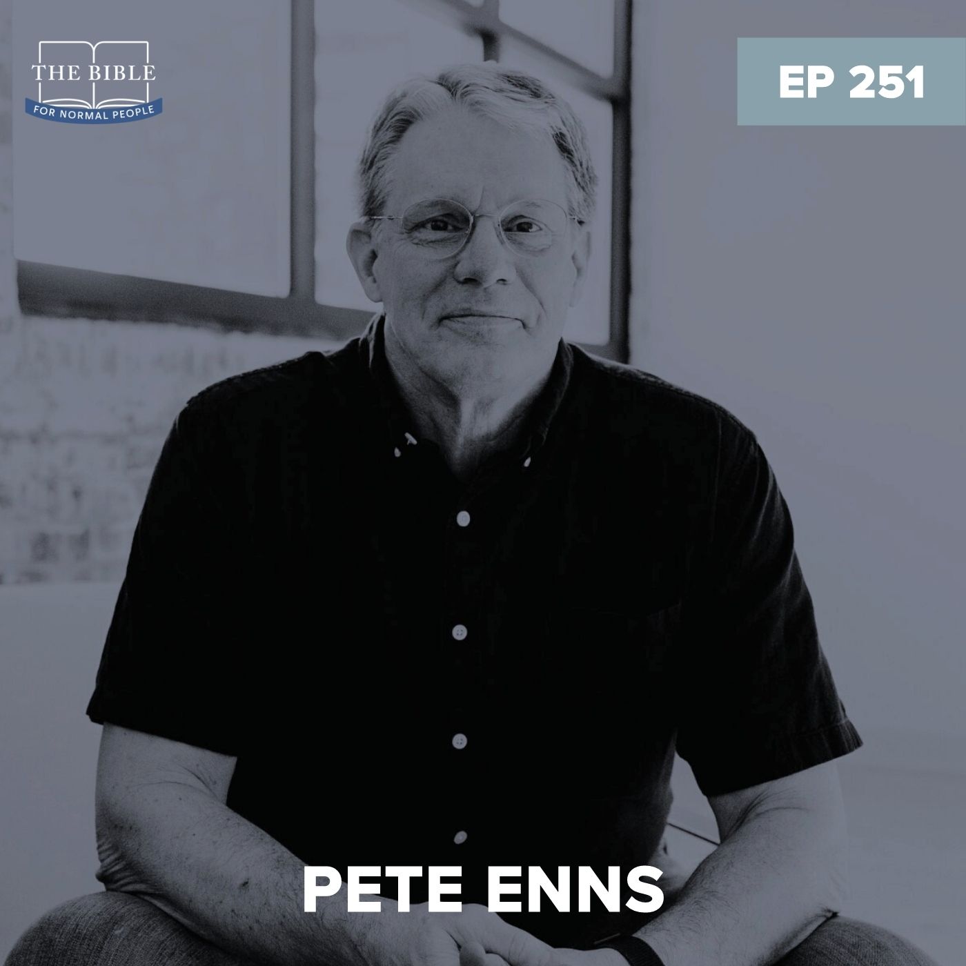 Episode 251: Pete Enns - Pete Ruins 2 Samuel - The Bible For Normal People